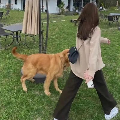 相思光年